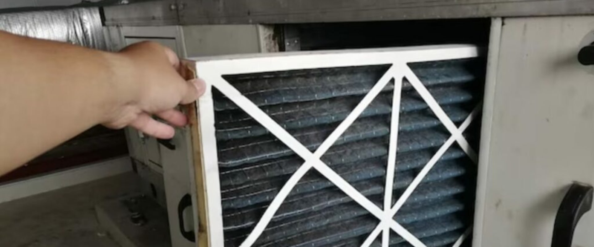 Breathe Easy With Trion Air Bear Furnace Filter Replacement